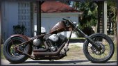 2010 Exile Cycles Brown Pearl photo